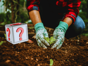 El secreto de quienes logran las mejores cosechas radica en la preparación previa del suelo.  ESPECIAL / CANVA
