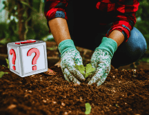 El secreto de quienes logran las mejores cosechas radica en la preparación previa del suelo.  ESPECIAL / CANVA