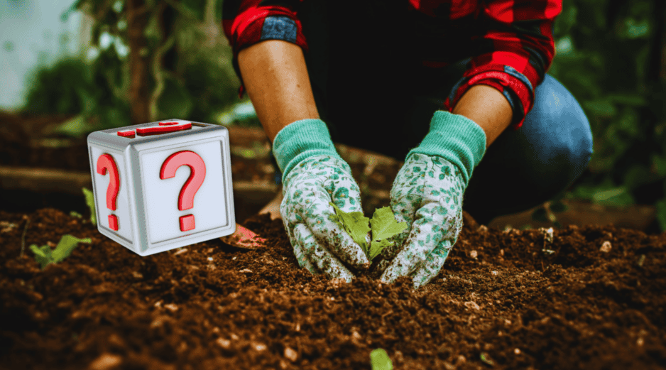 El secreto de quienes logran las mejores cosechas radica en la preparación previa del suelo.  ESPECIAL / CANVA