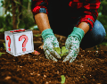 El secreto de quienes logran las mejores cosechas radica en la preparación previa del suelo.  ESPECIAL / CANVA