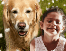 Las diferencias en el comportamiento canino no dependen exclusivamente de la raza, sino que están profundamente ligadas a la educación proporcionada por los tutores. ESPECIAL/Canva/Unsplash