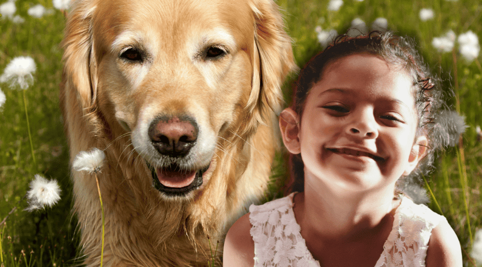 Las diferencias en el comportamiento canino no dependen exclusivamente de la raza, sino que están profundamente ligadas a la educación proporcionada por los tutores. ESPECIAL/Canva/Unsplash