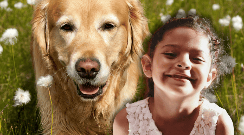 Las diferencias en el comportamiento canino no dependen exclusivamente de la raza, sino que están profundamente ligadas a la educación proporcionada por los tutores. ESPECIAL/Canva/Unsplash