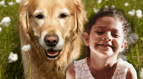 Las diferencias en el comportamiento canino no dependen exclusivamente de la raza, sino que están profundamente ligadas a la educación proporcionada por los tutores. ESPECIAL/Canva/Unsplash