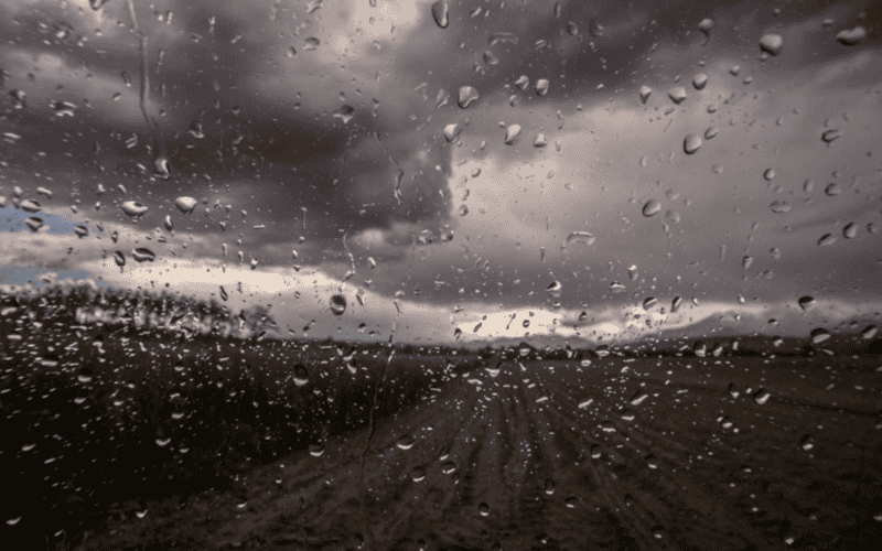El petricor es el característico olor a tierra mojada que surge cuando la lluvia cae sobre suelo seco. CANVA