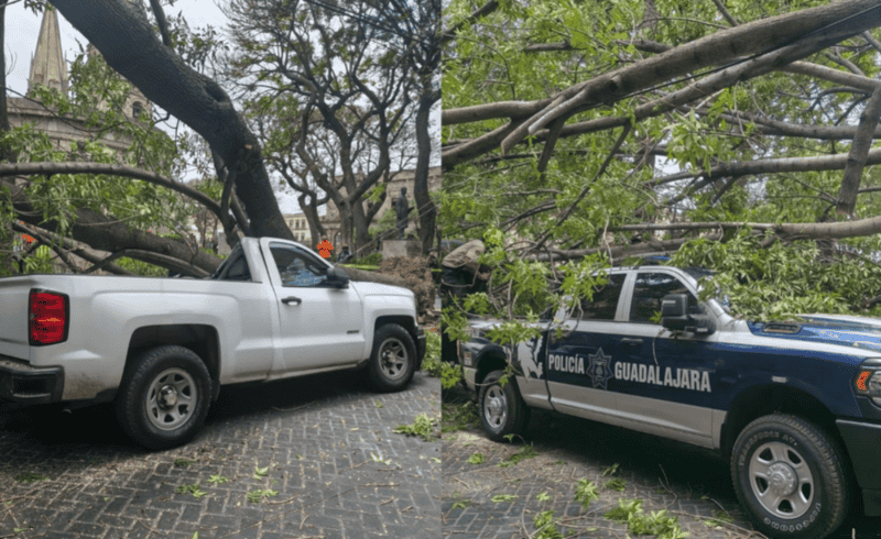 COORDINACIÓN MUNICIPAL DE PROTECCIÓN CIVIL Y BOMBEROS DE GUADALAJARA&nbsp;