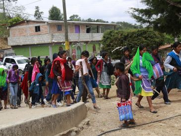 Detrás de los hechos criminales en Guerrero, se detectó a dos grupos delincuenciales, identificados como "Los Ardillos" y "Los Tlacos". EFE/ARCHIVO
