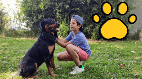 Dale una segunda oportunidad a un lomito abandonado o rescatado, ofreciéndole un hogar permanente, cuidados, salud y cariño. CANVA