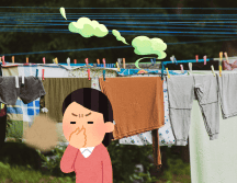Secar la ropa en espacios cerrados puede aumentar los niveles de humedad interior hasta en un 30%, creando el ecosistema perfecto para la proliferación de ácaros del polvo y esporas de moho. CANVA