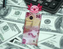 El dólar se compra en un promedio de 16.36 pesos y se vende en 17.50 pesos en las principales ventanillas bancarias del territorio nacional. ESPECIAL / CANVA