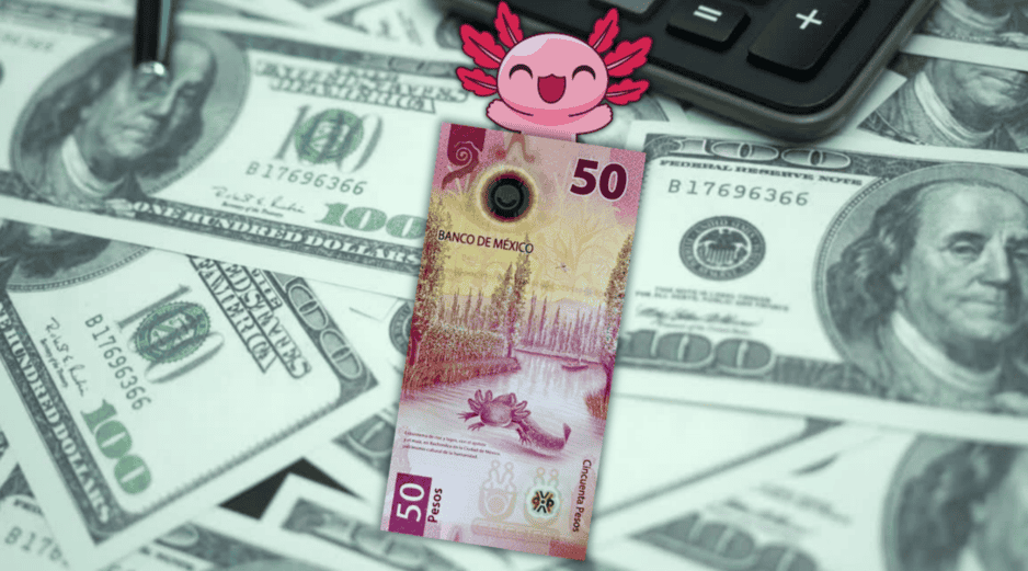 El dólar se compra en un promedio de 16.36 pesos y se vende en 17.50 pesos en las principales ventanillas bancarias del territorio nacional. ESPECIAL / CANVA