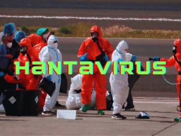 La infección por hantavirus humano se contrae principalmente a través del contacto con la orina, las heces o la saliva de roedores infectados, o al tocar superficies contaminadas. AP / ARCHIVO