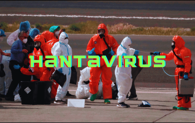 La infección por hantavirus humano se contrae principalmente a través del contacto con la orina, las heces o la saliva de roedores infectados, o al tocar superficies contaminadas. AP / ARCHIVO