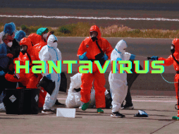 La infección por hantavirus humano se contrae principalmente a través del contacto con la orina, las heces o la saliva de roedores infectados, o al tocar superficies contaminadas. AP / ARCHIVO