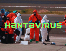 La infección por hantavirus humano se contrae principalmente a través del contacto con la orina, las heces o la saliva de roedores infectados, o al tocar superficies contaminadas. AP / ARCHIVO