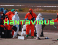 La infección por hantavirus humano se contrae principalmente a través del contacto con la orina, las heces o la saliva de roedores infectados, o al tocar superficies contaminadas. AP / ARCHIVO