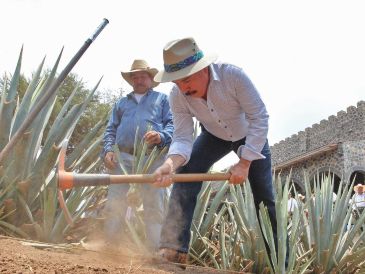 EL INFORMADOR / ARCHIVO