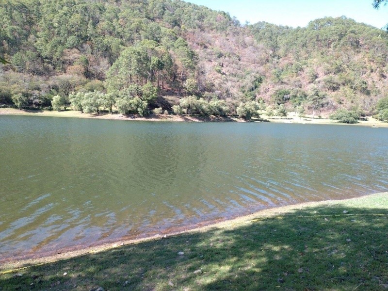 &nbsp;CORTESÍA.