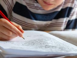 La labor educativa debe ser dignamente remunerada, por lo que es crucial el seguir impulsando el diálogo público para mejorar las condiciones laborales de los docentes. Unsplash