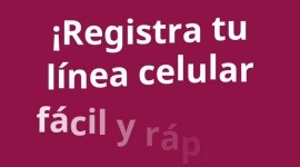 Registro de líneas de telefonía móvil
