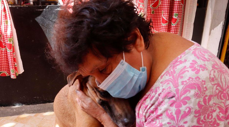 Estos son los beneficios a la salud de tener un perro ¿son medibles por la ciencia? SUN / ARCHIVO