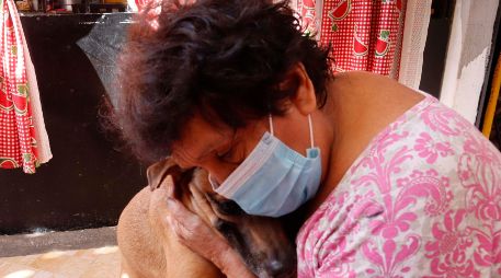 Estos son los beneficios a la salud de tener un perro ¿son medibles por la ciencia? SUN / ARCHIVO