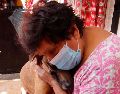Estos son los beneficios a la salud de tener un perro ¿son medibles por la ciencia? SUN / ARCHIVO