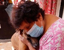 Estos son los beneficios a la salud de tener un perro ¿son medibles por la ciencia? SUN / ARCHIVO