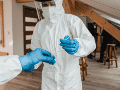 La variante involucrada, conocida como virus de los Andes, es endémica de regiones montañosas en Argentina y Chile, y destaca por ser la única cepa de hantavirus con capacidad comprobada de transmisión de persona a persona. CANVA