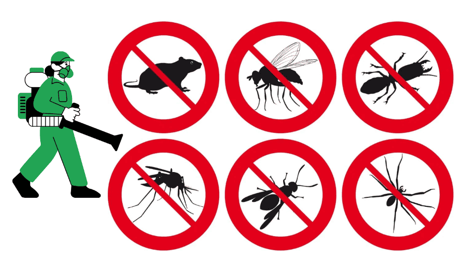 El uso de productos químicos además de ser ineficaz, empeora el problema al forzar la evolución de las especies. Mientras que los remedios caseros funcionan mediante mecanismos físicos o de interrupción sensorial a los cuales los insectos no pueden desarrollar resistencia biológica, lo que garantiza que los métodos domésticos mantengan su efectividad a largo plazo sin comprometer la salud ambiental del hogar. ESPECIAL CANVA