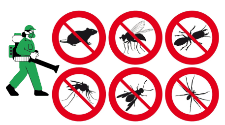 El uso de productos químicos además de ser ineficaz, empeora el problema al forzar la evolución de las especies. Mientras que los remedios caseros funcionan mediante mecanismos físicos o de interrupción sensorial a los cuales los insectos no pueden desarrollar resistencia biológica, lo que garantiza que los métodos domésticos mantengan su efectividad a largo plazo sin comprometer la salud ambiental del hogar. ESPECIAL CANVA