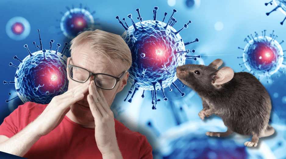 La confirmación de una posible vía de contagio sexual abriría un nuevo y complejo capítulo en los protocolos de salud pública y prevención epidemiológica a nivel global. CANVA