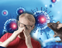 La confirmación de una posible vía de contagio sexual abriría un nuevo y complejo capítulo en los protocolos de salud pública y prevención epidemiológica a nivel global. CANVA