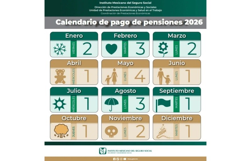ESPECIAL / IMSS&nbsp;