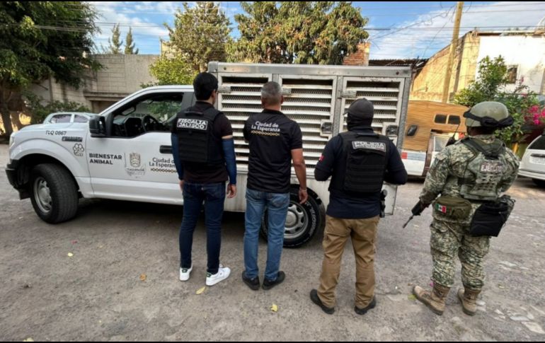 Los elementos procedieron a la inmediata detención de David “N” por los delitos de maltrato animal y cohecho. ESPECIAL/ Fiscalía de Jalisco.