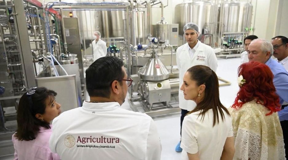 La nueva planta, ubicada en el Parque Bicentenario de San Francisco, Campeche, requirió una inversión superior a 130 millones de pesos. CORTESÍA