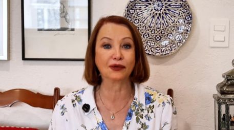 Laura Itzel Castillo destacó la relevancia del Acuerdo Global Modernizado y del Acuerdo Comercial Provisional con la Unión Europea. X / @LauraI_Castillo