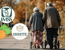 Ya se conocen las fechas en las que los pensionados del IMSS y del ISSSTE recibirán su pago de junio. CANVA
