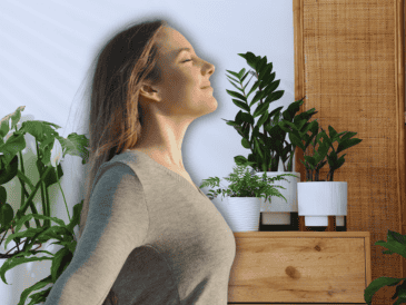 Un hogar que cuenta con la vegetación adecuada y bien distribuida puede experimentar una reducción real de la temperatura ambiental de hasta 2 a 4 grados centígrados. ESPECIAL / CANVA