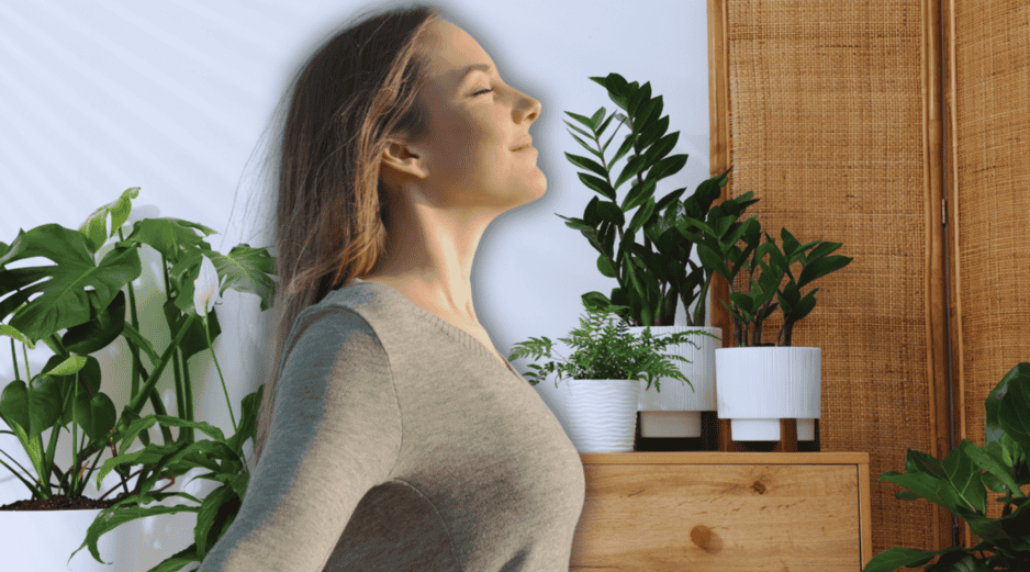 Un hogar que cuenta con la vegetación adecuada y bien distribuida puede experimentar una reducción real de la temperatura ambiental de hasta 2 a 4 grados centígrados. ESPECIAL / CANVA
