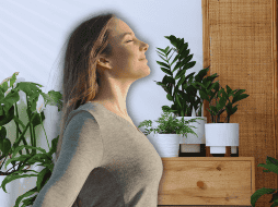 Un hogar que cuenta con la vegetación adecuada y bien distribuida puede experimentar una reducción real de la temperatura ambiental de hasta 2 a 4 grados centígrados. ESPECIAL / CANVA