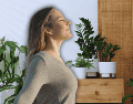 Un hogar que cuenta con la vegetación adecuada y bien distribuida puede experimentar una reducción real de la temperatura ambiental de hasta 2 a 4 grados centígrados. ESPECIAL / CANVA