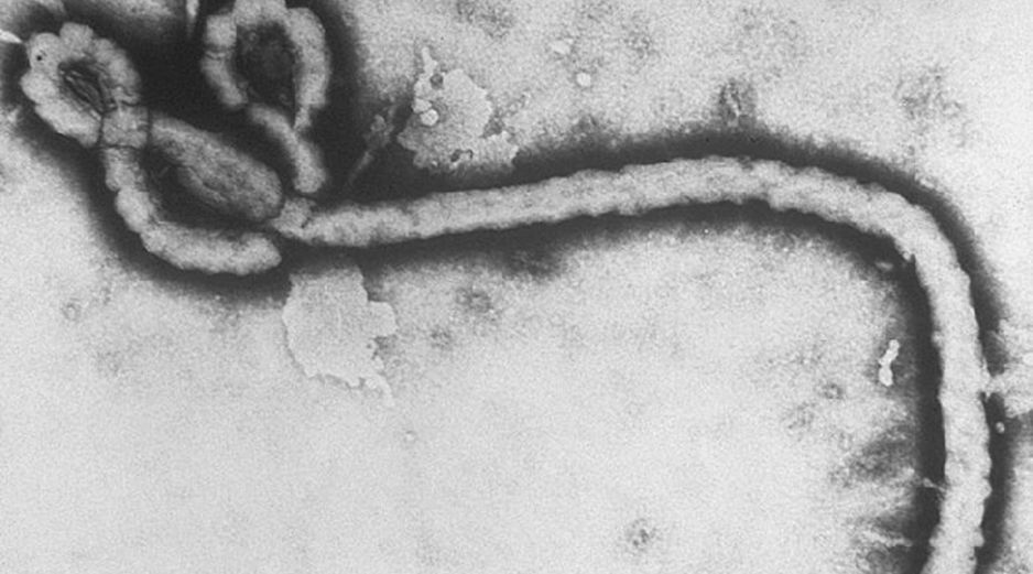Aunque el riesgo de propagación del Ébola a otras regiones de América es bajo si se aplican los protocolos adecuados, la globalización actual exige que ninguna alerta sanitaria internacional sea ignorada. AP/ARCHIVO
