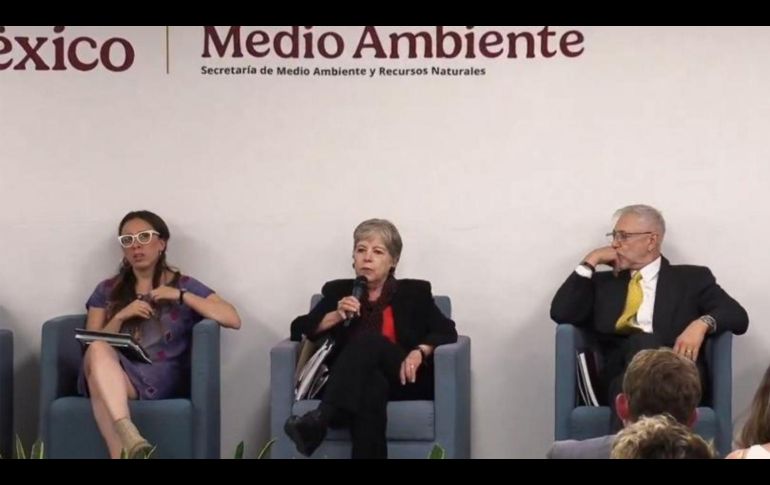 Royal Caribbean evalúa retirar el proyecto mientras el Gobierno prioriza la conservación ecológica. CAPTURA DE VIDEO