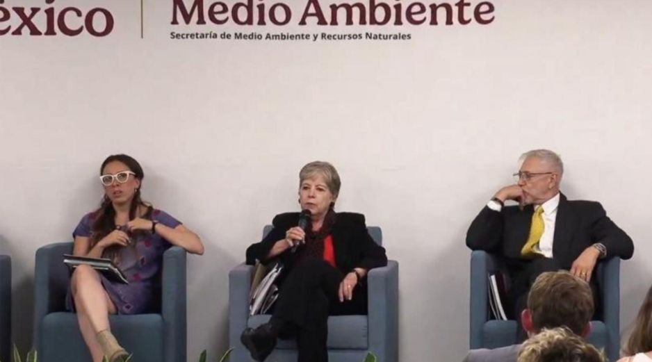 Royal Caribbean evalúa retirar el proyecto mientras el Gobierno prioriza la conservación ecológica. CAPTURA DE VIDEO