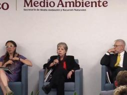 Royal Caribbean evalúa retirar el proyecto mientras el Gobierno prioriza la conservación ecológica. CAPTURA DE VIDEO
