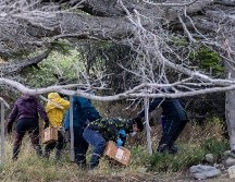 El virus hanta es endémico de Chile y es donde está presente la cepa Andes, capaz de transmitirse a través del contacto entre humanos. AP/ARCHIVO