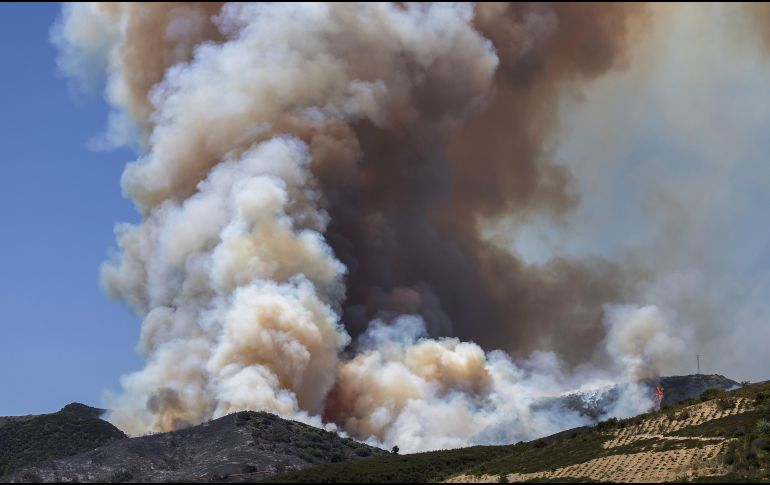 El incremento en la voracidad de estos incendios está directamente vinculado al calentamiento global. EFE/T. Soqui