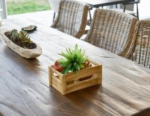 Una madera descuidada presenta manchas, grietas, pérdida de brillo y resequedad. ESPECIAL/PEXELS