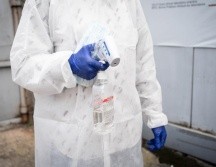 La OMS reconoció este miércoles que desarrollar la vacuna para el virus Bundibugyo, causante del brote de ébola del que se han reportado 600 casos y 139 muertes, llevará meses. EFE/EPA/M. Jeanne Munyerenkana